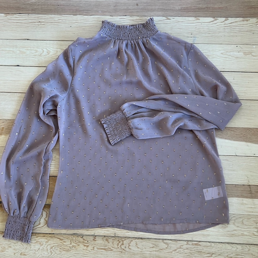 Express smocked mock neck sheer blouse